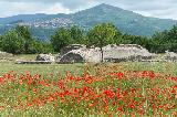 Parco Archeologico, Grumentum