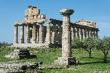 Athena Tempel, Paestum