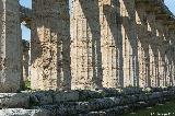 Hera Tempel, Paestum