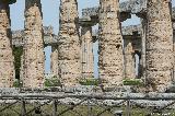 Hera Tempel, Paestum