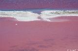 Hutt Lagoon, Port Gregory