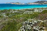 Rossiter Bay, Cape Le Grand NP