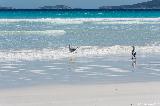 Le Grand Beach, Cape Le Grand NP