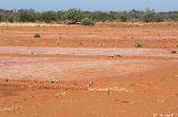 Clay Pans vor Gascoyne Junction