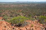 Goordgeela Lookout Trail, Mt Augustus NP