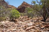 Temple Gorge, Kennedy Range NP