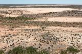 Gladstone Outlook, Yaringa