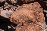 Deep Gorge Petroglyphs, Murujuga NP