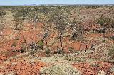 Cliff Lookout, Millstream Chichester NP