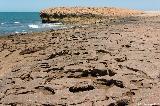 Cooke Point, Port Hedland