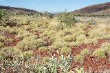 Banjima Drive, Karijini NP