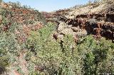 Dales Gorge, Fortescue Falls Lookout, Karijini NP