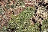 Dales Gorge, Fortescue Falls Lookout, Karijini NP