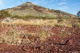 Mount Bruce, Karijini NP