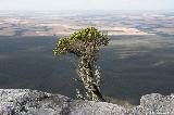 Blick vom Bluff Knoll, Stirling Range NP