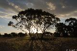 Mount Trio Bush Camping