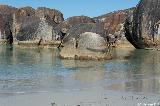 Elephant Rocks, William Bay NP